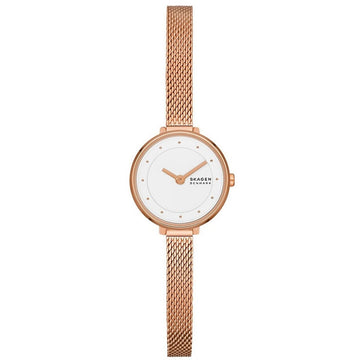 Montre Femme Skagen GITTE LILLE (Ø 22 mm)