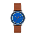 Montre Homme Skagen SIGNATUR (Ø 40 mm)