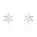 Boucles d´oreilles Femme Stroili 14017896